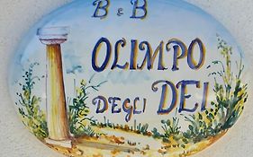Olimpo Degli Dei